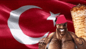 Turkey T GIF
