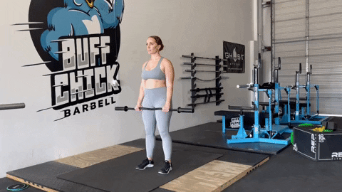 megsquats giphyupload GIF