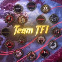 Teamtfi GIF