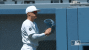 Major League Baseball Sport GIF by MLB