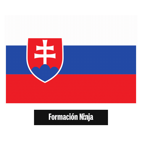 Slovakia Flag Sticker by Formación Ninja