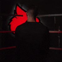 University Of Louisville GIF by Louisville Cardinals