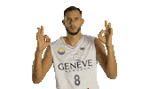 Basketball Basket Sticker by Lions de Genève