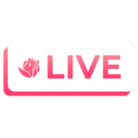 DuzaniLingerie fashion live moda lingerie Sticker