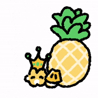 Cat Pineapple GIF