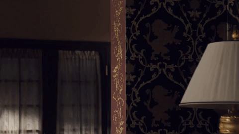 GIF by Get Shorty