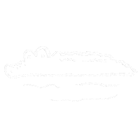 Swim Crocodile Sticker
