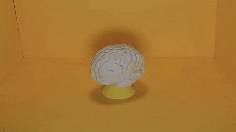 cjecanton giphyupload GIF