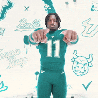 College Football GIF by USF Athletics