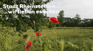 Wohnen GIF by Stadt Rheinstetten