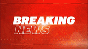 Breaking News GIF by Inside Edition