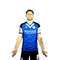 Swipe Up Sticker by DSC Arminia Bielefeld