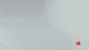 France Reaction GIF by Bundesliga