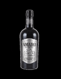 Amarodelciclista GIF by Casoni