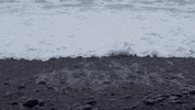 uviccampuslife beach waves tide uvic GIF