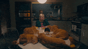 now that i found you shrampton GIF by Carly Rae Jepsen