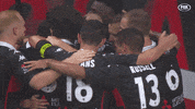Western Sydney Wanderers Football GIF by wswanderersfc