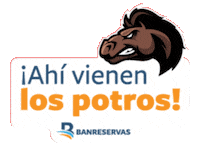 Baseball Banco Sticker by Banreservas