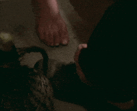 Film Feet GIF