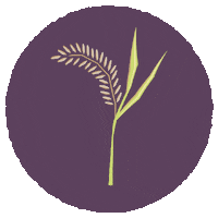 Food Eat Sticker by FoodUnfolded