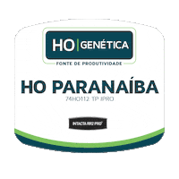 Placas De Campo Sticker by SEEDCORP HO