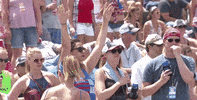 fans GIF by CMA Fest: The Music Event of Summer
