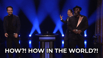Jimmy Fallon What GIF by The Tonight Show Starring Jimmy Fallon