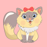 Cat Love GIF