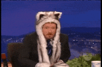 SpiritHood cat cats kitty furry GIF
