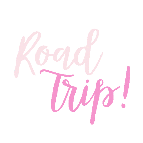 Road Trip Party Sticker by Sprinkled With Pink Shop