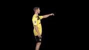 Handball GIF by HSC 2000 Coburg