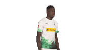 Posing Line Up Sticker by Bundesliga