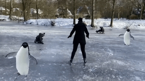 suzanneolsthoorn giphyattribution GIF