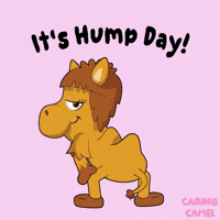 Wednesday Hump Day GIF by VeeFriends