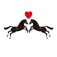 Couple Love Sticker by Toiletpapermagazine