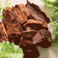 DrSoil drsoil doctorsoil apotheque GIF