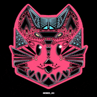 Lucha Libre Cat GIF