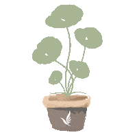 Flower Love Sticker by iWhite Korea Official