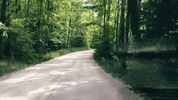 michigan GIF