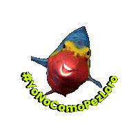 Parrot Fish Venezuela Sticker by ConBiVe