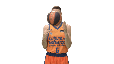 Liga Endesa Sport Sticker by ACB