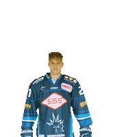 Mazda Dresden Sticker by Dresdner Eisloewen