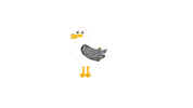 Sea Seagull Sticker by buesum_urlaub