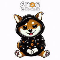 Cute Dog GIF by $DOG