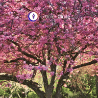 Look Flowers GIF by Learner Circle