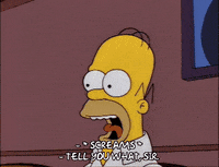 homer simpson GIF