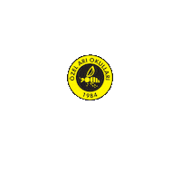 Ariokullari Sticker by Özel Arı Okulları