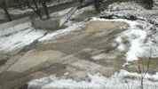 tank deal with it GIF