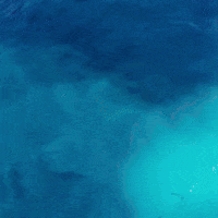 Immune System Summer GIF by detoxheavymetalssafely