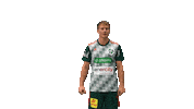 Sport Handball Sticker by DIE RECKEN